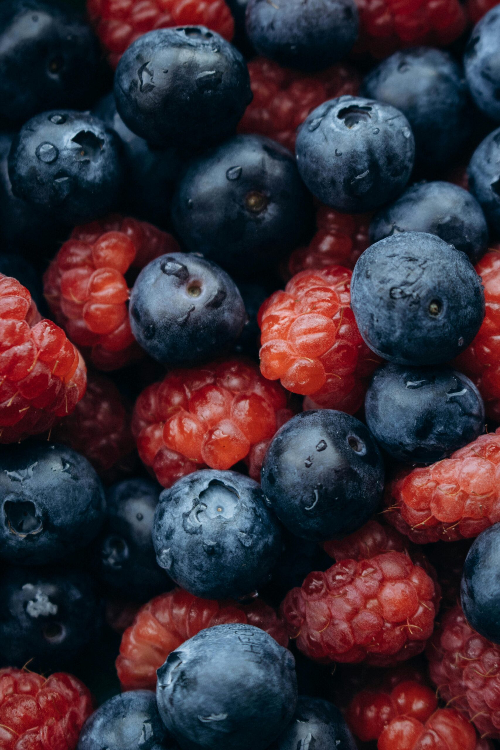 pexels-ludakavun-18267778